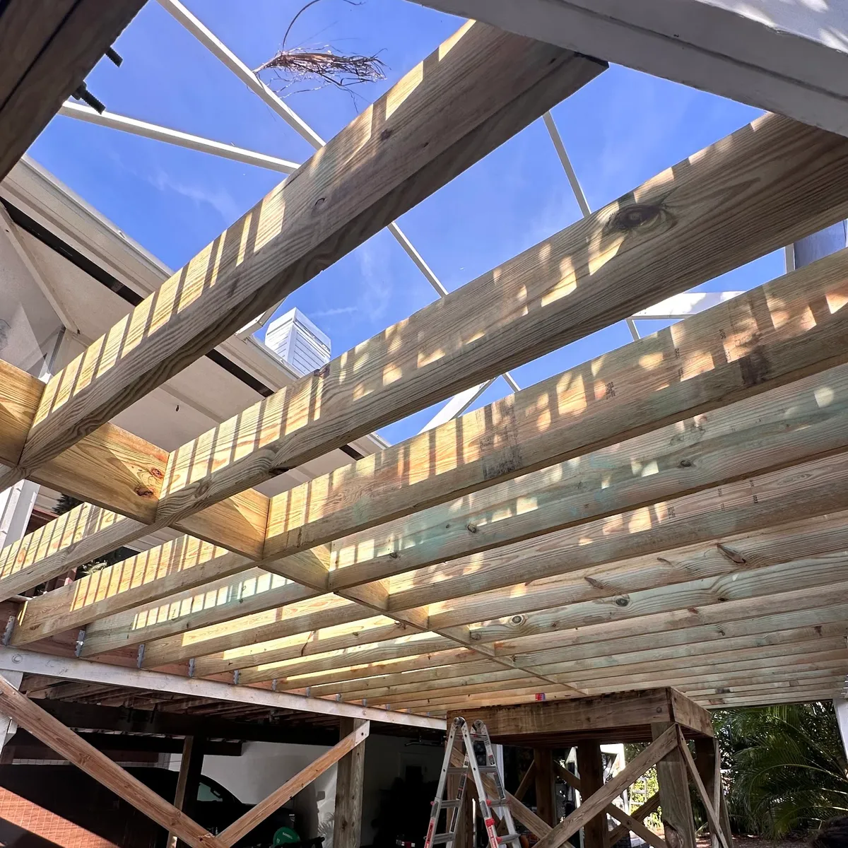 Pergola rafters seen from below during framing, against a blue sky